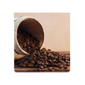 https://dev.nomiscoffee.com/Coffee bean 1